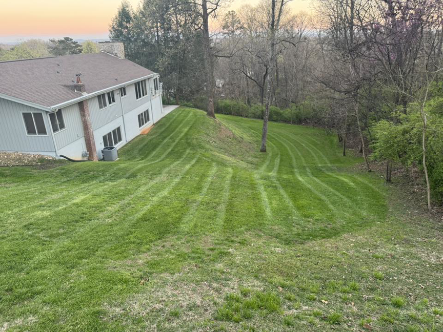 A sloped backyard lawn with unique mowing patterns, expertly maintained by Hancock Lawn Care in Knoxville, TN.