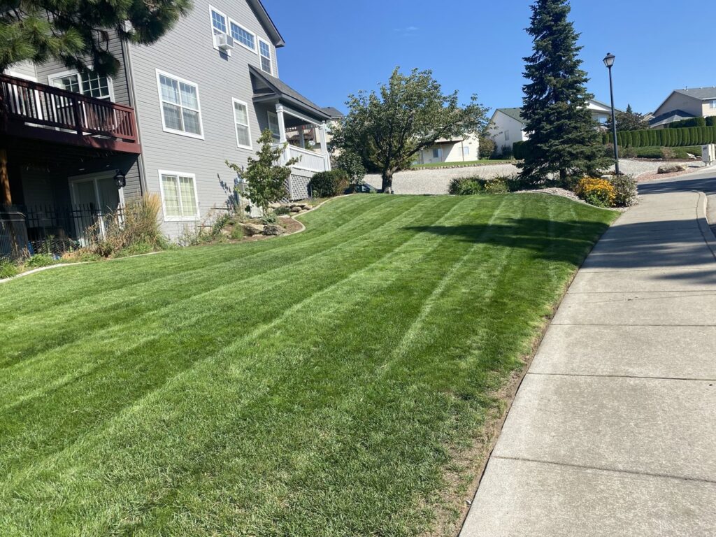 A large, sloped residential lawn featuring distinct mowing stripes, expertly maintained by McLain Lawn & Landscape in Spokane, WA.