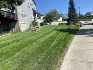 A large, sloped residential lawn featuring distinct mowing stripes, expertly maintained by McLain Lawn & Landscape in Spokane, WA.