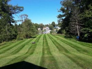 A large sloped lawn with perfectly executed mowing stripes by John's Lawn Care Service's in Saint Petersburg, FL