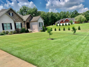 A large, sloping lawn expertly mowed with clean lines, provided by NewLeaf Lawn Care LLC in Dothan, AL.