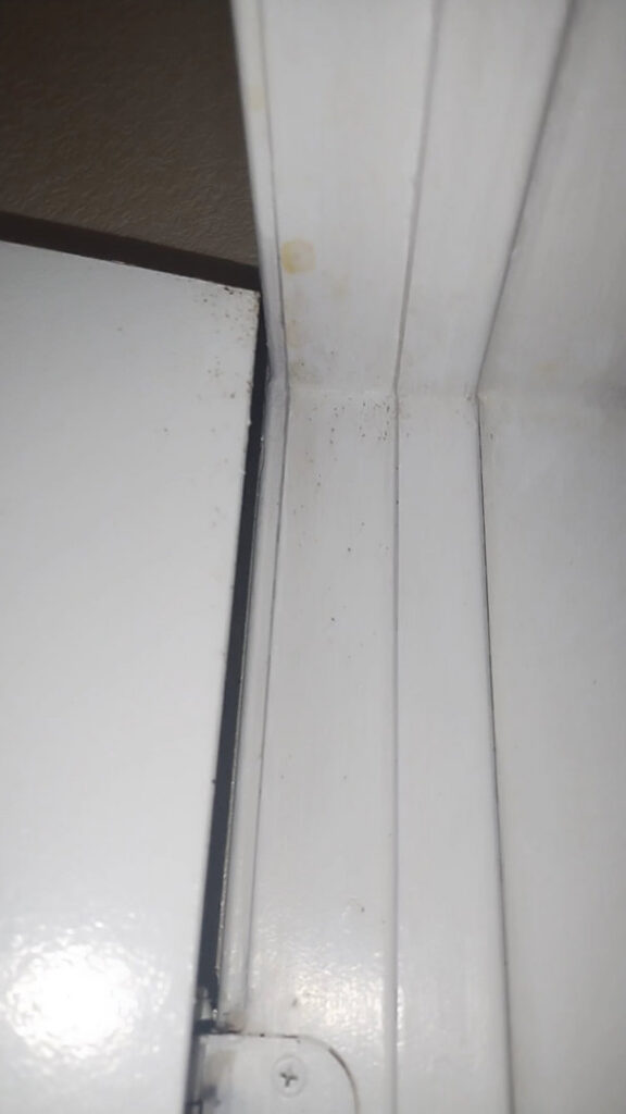 Small pest droppings visible on a white door frame, indicating a potential pest issue for Termagon Termite & Pest Control in Tucson, AZ.