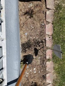 A small garter snake visible in a garden bed, indicating a potential wildlife control job for Leave Me Bee Pest Control, Inc. in Aurora, IL.