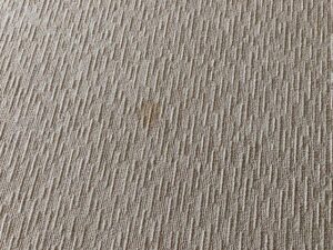 A close-up view of a small stain on a textured carpet, indicating a need for professional cleaning from Heaven's Best Carpet Cleaning in Oklahoma City, OK.