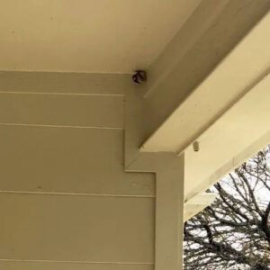 A small wasp nest attached to the underside of a porch ceiling, indicating a pest issue handled by Next Level Pest Services in Fort Worth, TX.