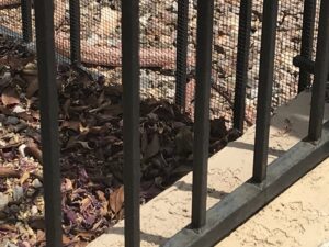 Close-up detail of a snake fence base with protective mesh, installed by Arizona Snake Fence LLC in Tucson, AZ