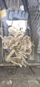 A pile of shed snake skins, indicating successful wildlife control and removal services by Pest Authority in Dover, DE.