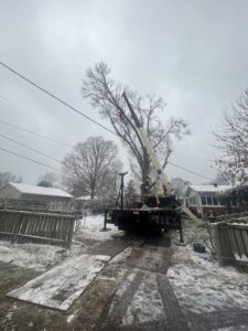A crane and truck set up for tree removal in a snowy residential area by Peek Lawn Care LLC in Windy Hills, KY.
