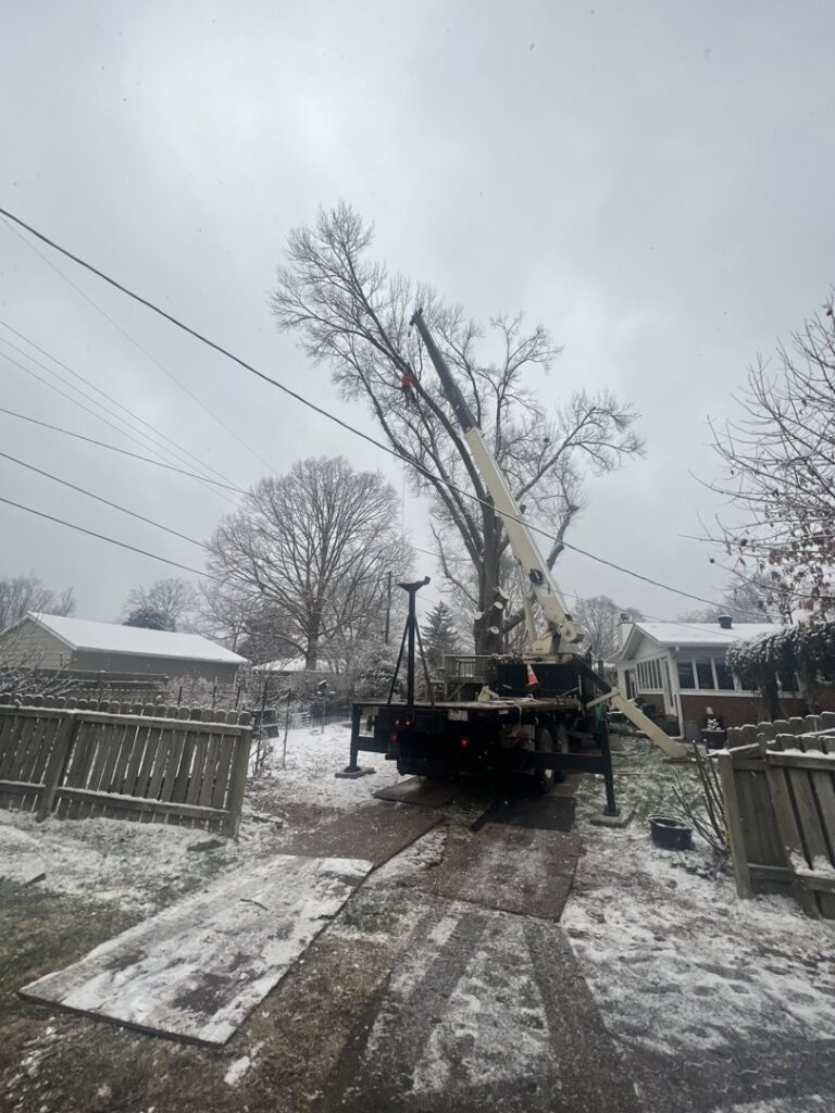 A crane and truck set up for tree removal in a snowy residential area by Peek Lawn Care LLC in Windy Hills, KY.