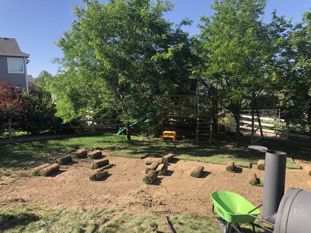 Rolls of fresh sod laid out on prepared soil, indicating a lawn installation project by Front Range Finest in Fort Collins, CO.