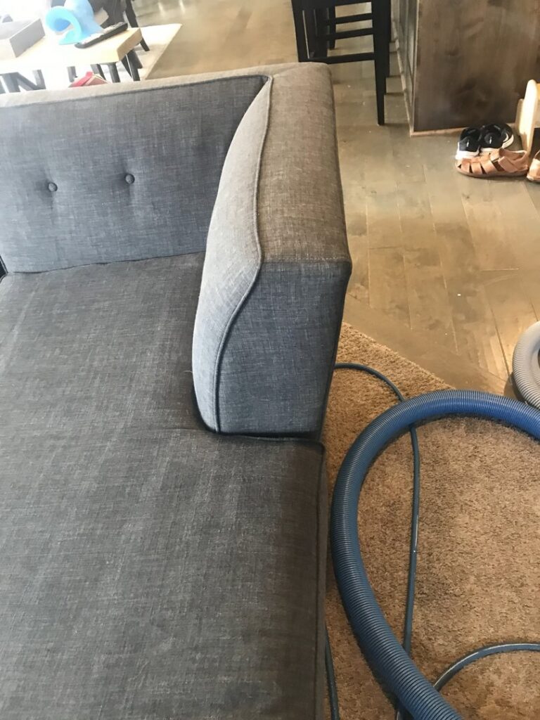 Professional sofa and carpet cleaning in progress with visible equipment by Elementscarpetcleaning.net in Omaha, NE.