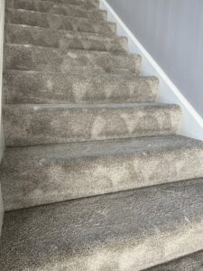 A close-up of a sofa cushion showing clear cleaning lines after upholstery service by Proper Carpet Cleaning in Aurora, IL.