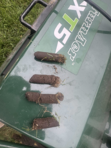 Close-up of soil plugs removed from a lawn during aeration, performed by Nice Grass Minnesota LLC in Minneapolis, MN.