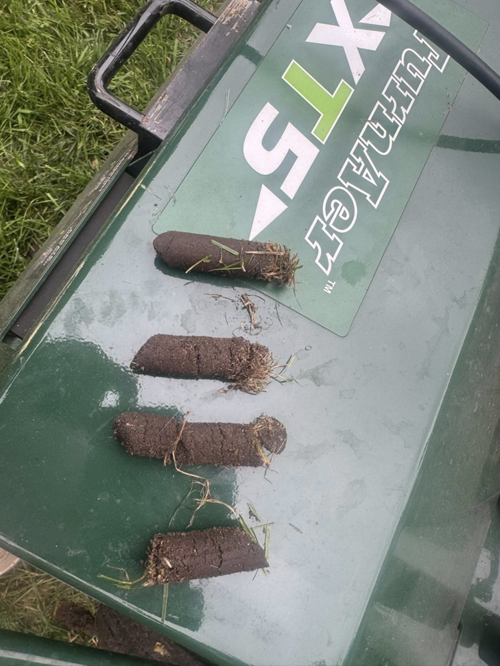 Close-up of soil plugs removed from a lawn during aeration, performed by Nice Grass Minnesota LLC in Minneapolis, MN.