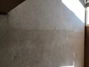 A soiled carpet awaiting restoration and cleaning by Level 8 Steam Cleaning & Restoration in West Fargo, ND.