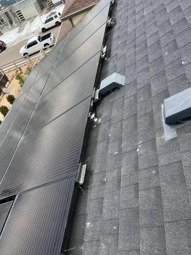 Wire mesh installed under solar panels for bird and rodent exclusion by HARP in Colorado Springs, CO.