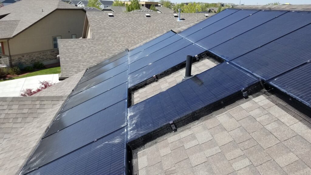 Solar panels on a roof with protective mesh installed for bird and rodent exclusion by Allstate Animal Control in Elizabeth, NJ.