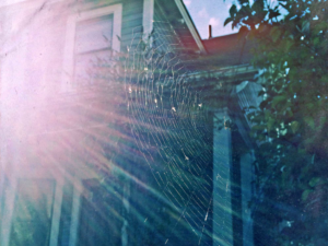 A detailed spider web on the side of a house, indicating pest control needs from Epoch Pest Solutions in Oklahoma City, OK.
