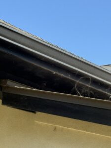Spiderwebs visible in a gutter and along the roofline, indicating pest activity for EcoShield Pest Solutions Fort Worth, TX.