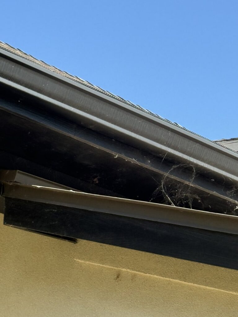 Spiderwebs visible in a gutter and along the roofline, indicating pest activity for EcoShield Pest Solutions Fort Worth, TX.