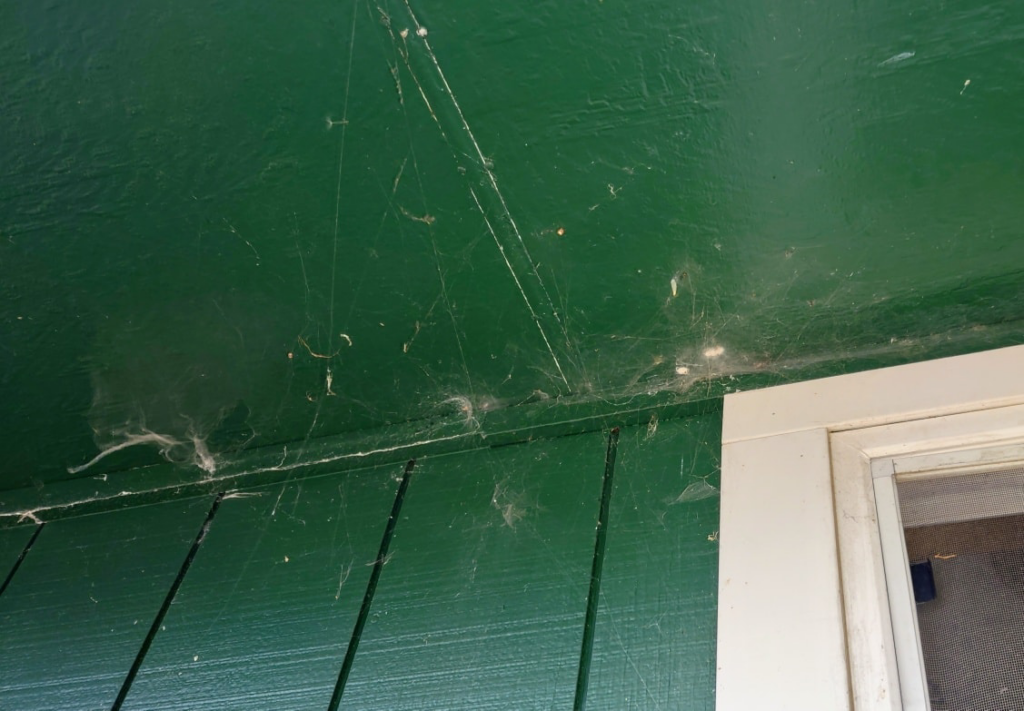 Numerous spiderwebs covering a house eave, indicating a pest issue addressed by Allen Pest Control in Coeur d'Alene, ID
