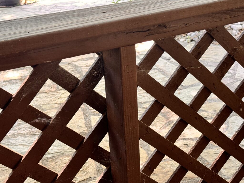 Spiderwebs visible on a wooden lattice fence, indicating pest activity for EcoShield Pest Solutions Fort Worth, TX.