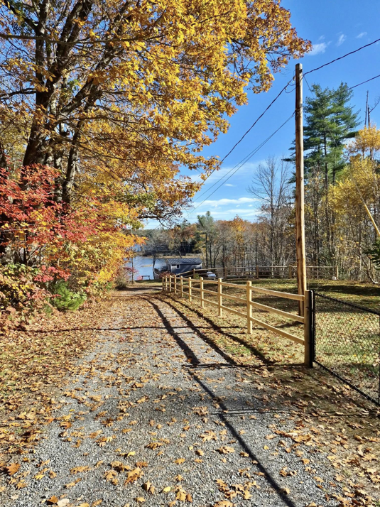 Split rail and chain link fencing along a gravel driveway leading to a lake, installed by Dirigo Fence Company in Augusta, ME.