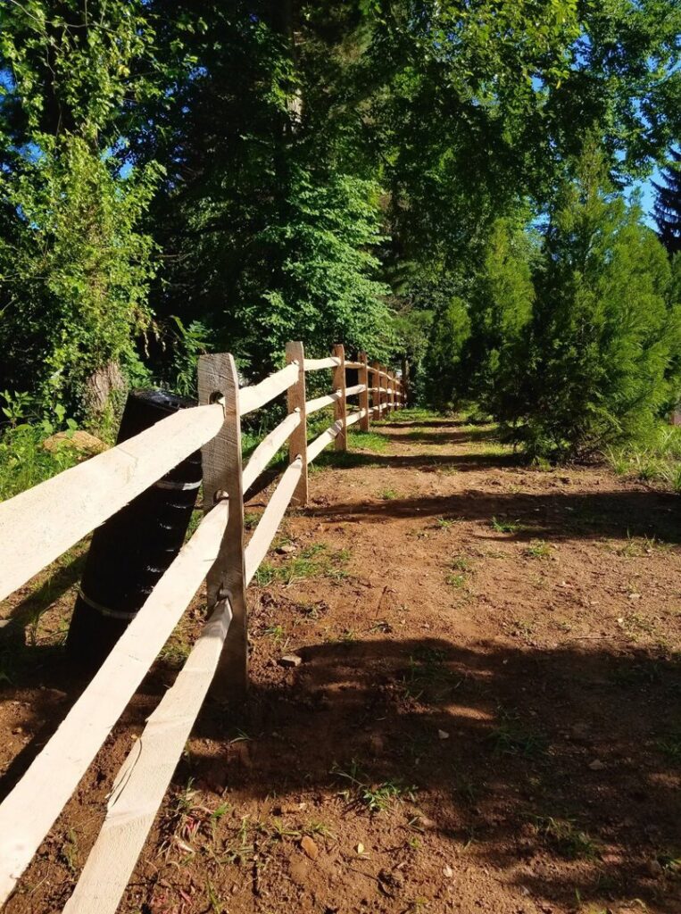 A rustic split rail fence winding through a lush green wooded area by Concord Fence Llc in Wilmington, DE