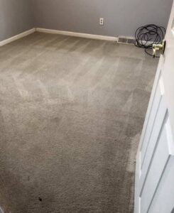 A spotless carpet after deep cleaning, showing excellent results from Wildcat Carpet Cleaning in Nicholasville, KY.