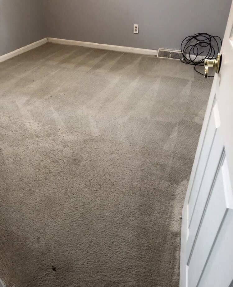 A spotless carpet after deep cleaning, showing excellent results from Wildcat Carpet Cleaning in Nicholasville, KY.