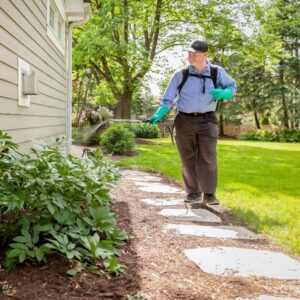 A SpringGreen technician applying a pest control treatment to bushes next to a house in Tussville, AL.