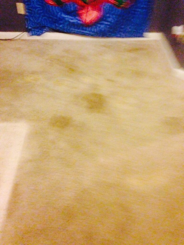 Stained beige carpet with dark spots before professional cleaning by All Steamed Up Carpet/Upholstery Cleaning in Havana, FL