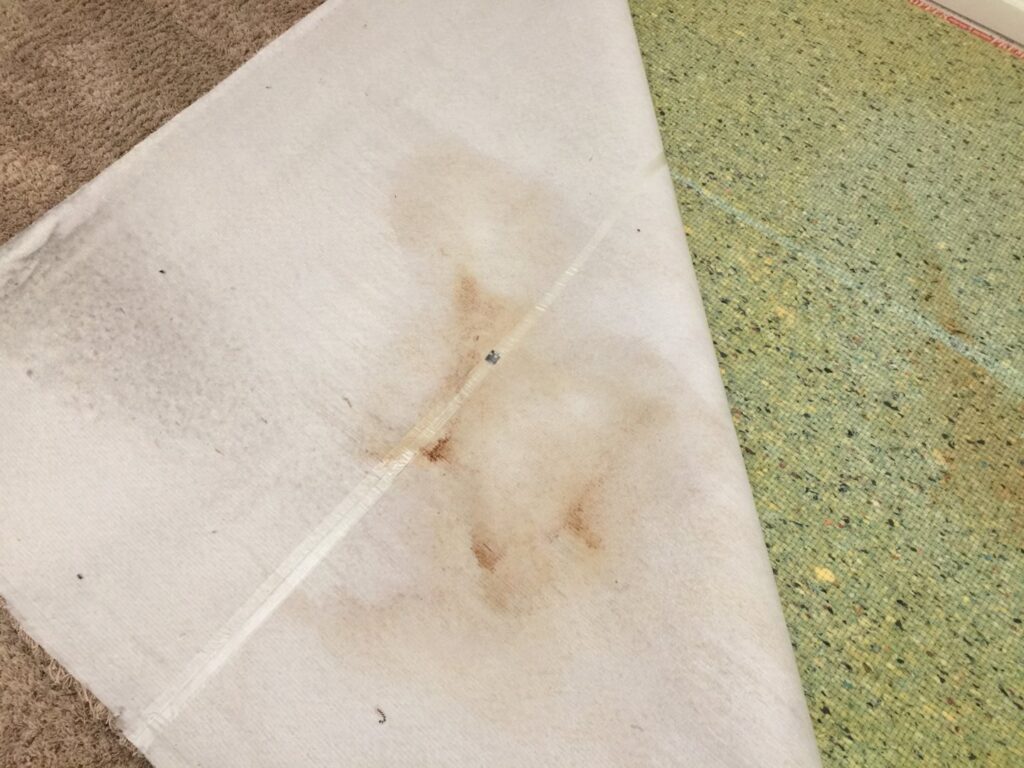 A lifted carpet revealing a large stain on the underside and padding, indicating a need for service from Presto Carpet And Tile Cleaning in Brentwood, CA.