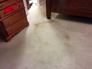 A stained, light-colored carpet in a bedroom before professional cleaning by All Dimension Floor Care in Lenexa, KS.