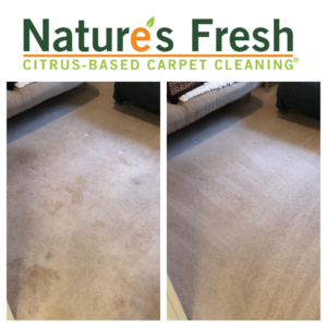 Before and after comparison of a heavily stained carpet cleaned by Nature's Fresh in Birmingham, AL
