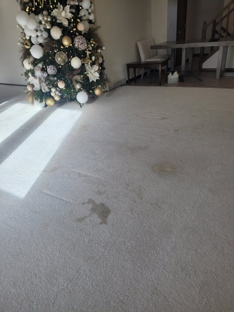 A stained carpet around a Christmas tree, showing the need for professional cleaning by Leo's Carpet Cleaning in Omaha, NE
