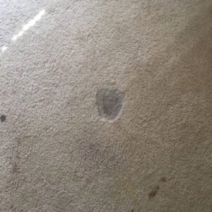 A close-up of a stained or worn carpet area, indicating a need for cleaning or repair by City Carpet Cleaners 1 in Houston, TX