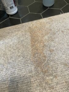 A close-up of a stained carpet before professional cleaning by Level 8 Steam Cleaning & Restoration in West Fargo, ND.