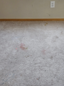 A heavily stained light-colored carpet before professional cleaning by Quality Carpet Cleaning in Lewiston, ID.