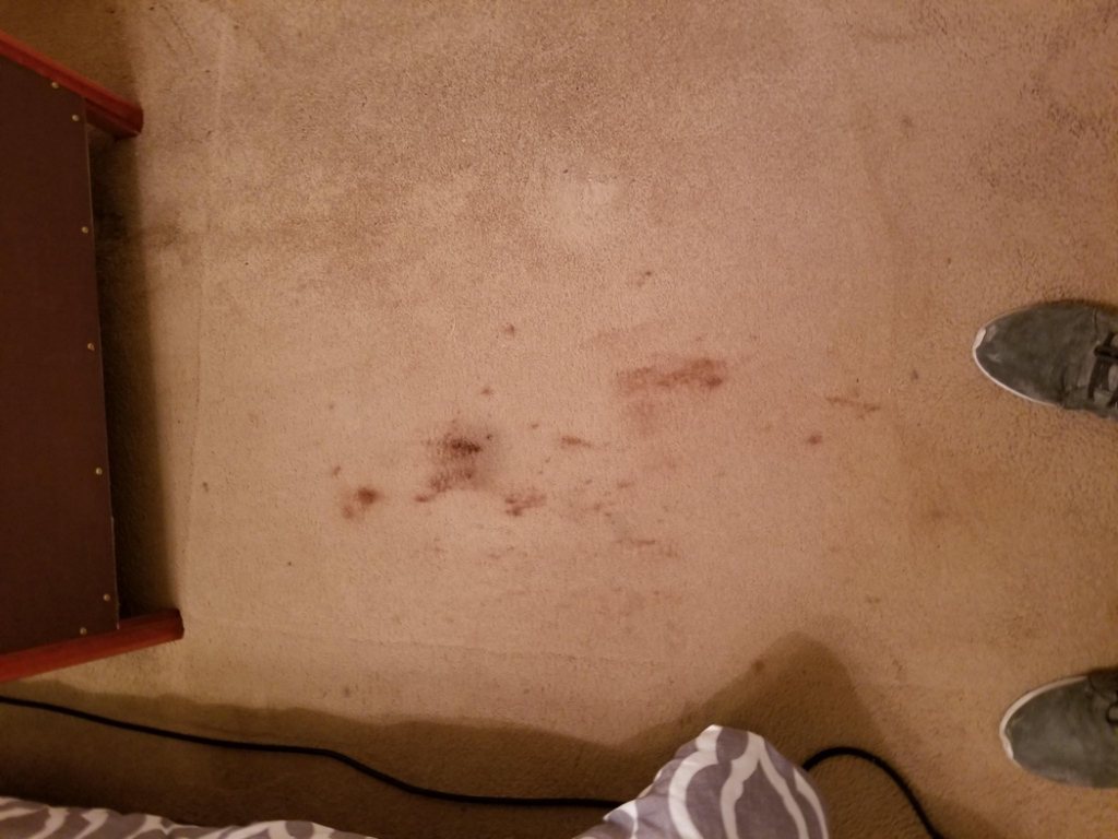 A stained carpet floor before cleaning, showing the need for services from Quick Dry Carpet Cleaning in Crown Point, IN