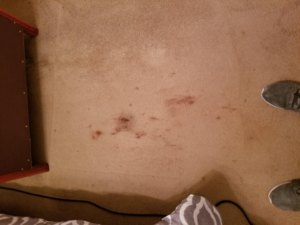 A stained carpet floor before cleaning, showing the need for services from Quick Dry Carpet Cleaning in Crown Point, IN