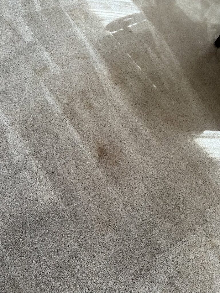 A light-colored carpet with a noticeable stain, ready for professional cleaning by Sears Carpet Cleaning in Cleveland, OH.