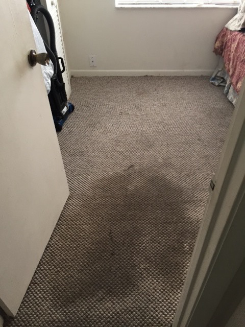 A stained, worn carpet in a room before professional cleaning service by Richmond Kwik Dry in Midlothian, VA.
