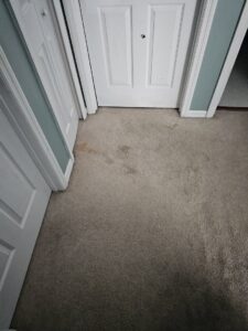 A stained carpet in a doorway before professional cleaning by CitruSolution Carpet & Upholstery Cleaning of Orlando, FL