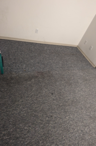 A close-up view of a stained carpeted floor, ready for professional cleaning by Pristine Carpet Care LLC in Longmont, CO.