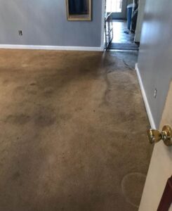 A stained carpet in a room, clearly requiring professional cleaning from Wildcat Carpet Cleaning in Nicholasville, KY.