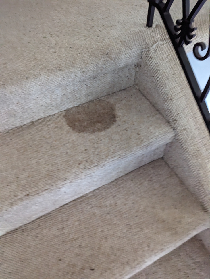 Stained carpeted stairs before cleaning, showing a brown spot that needs attention from Top Floor Carpet Cleaning in Lenoir City, TN.
