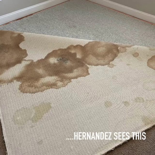 A section of carpet pulled back to reveal heavy staining on the underside, showing a need for service from Winston Salem Carpet Cleaning by Hernandez in Greensboro, NC.