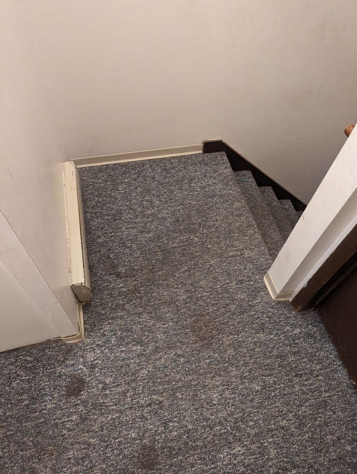 A view of a stained carpeted staircase, indicating a need for professional cleaning by Pristine Carpet Care LLC in Longmont, CO.