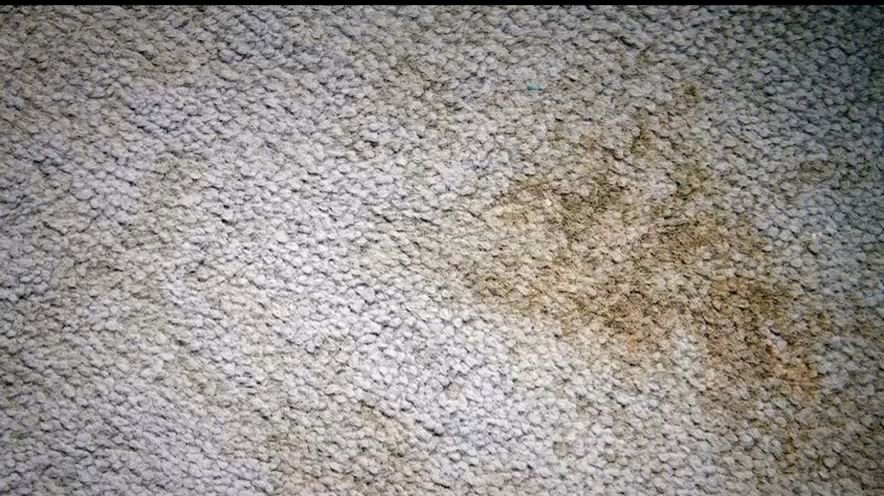 A close-up of a stained and dirty carpet, indicating the need for professional cleaning by C&R's Carpet Cleaning in Ellsworth, ME.